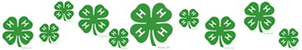 Clover Banner